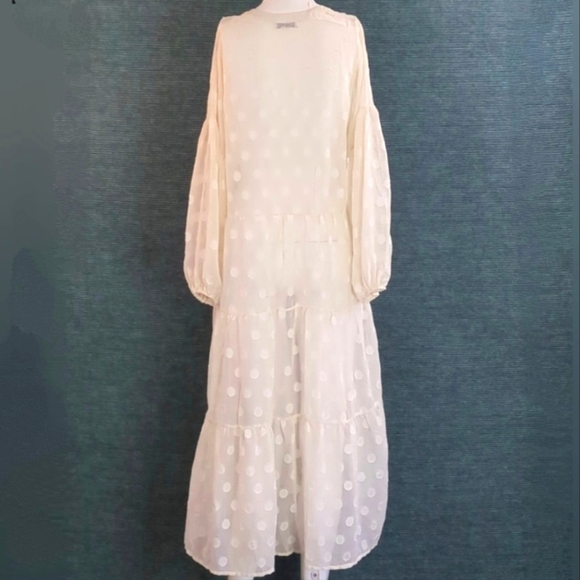 Moon River Sheer Polkadot Tiered Dress - Picture 4 of 13